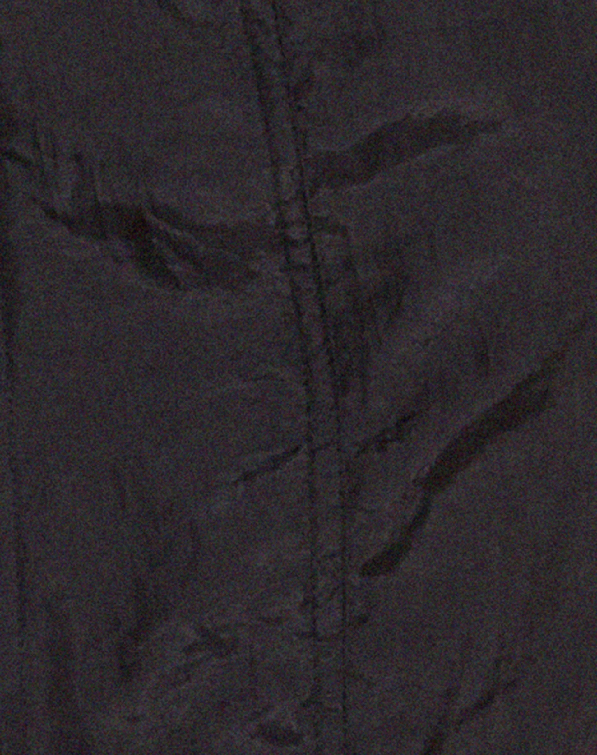 Anggi Mini Zip Up Dress in Parachute Black - Image 8