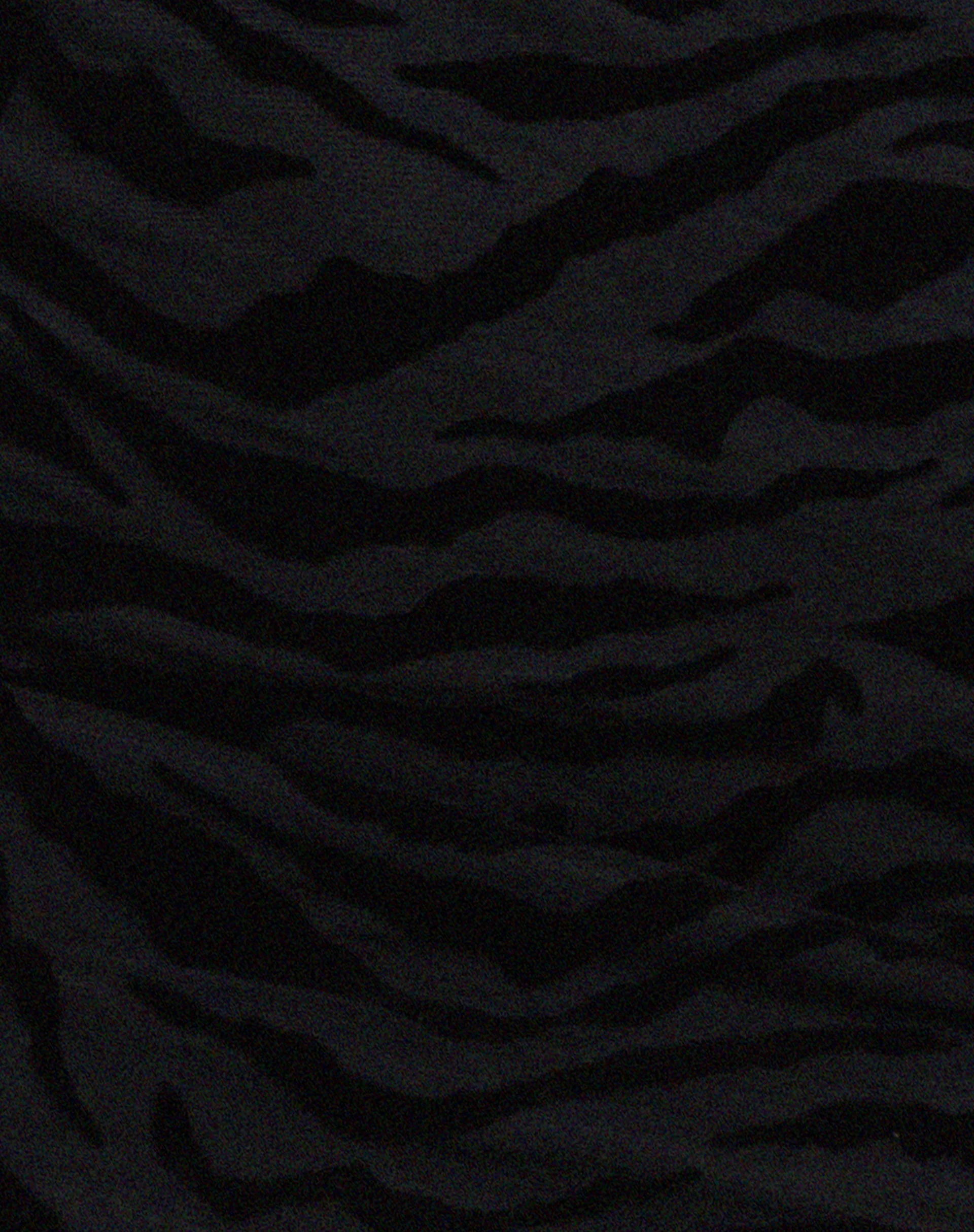Batia Bodycon Dress in Zebra Flock Black - Image 6