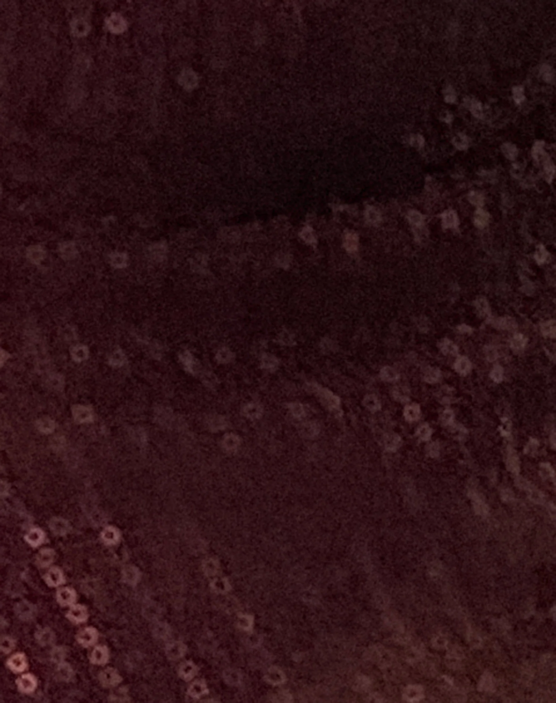 Cojira Butterfly Top in Sequin Burgundy - Image 8