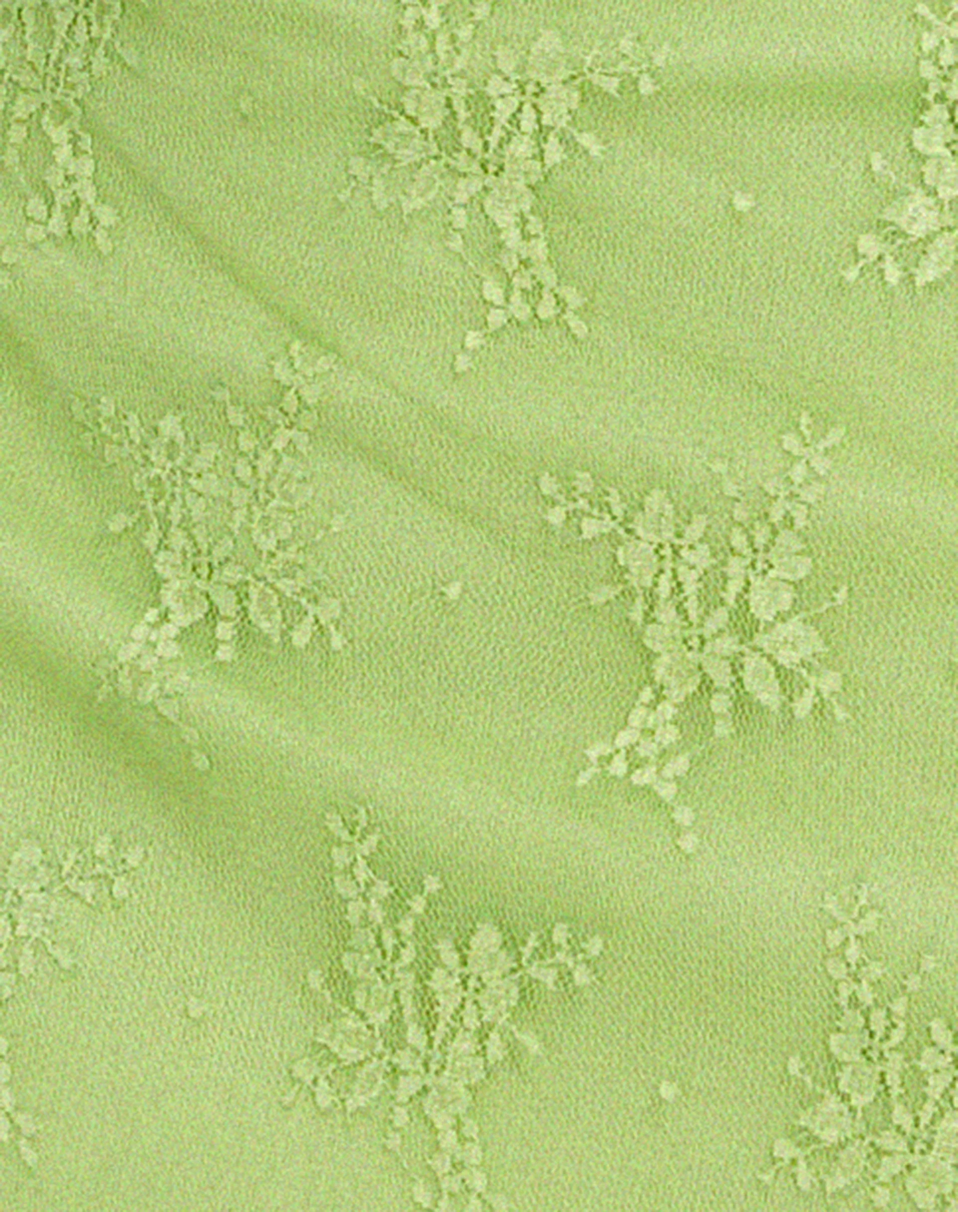Coline Mini Dress in Lace Lime - Image 7