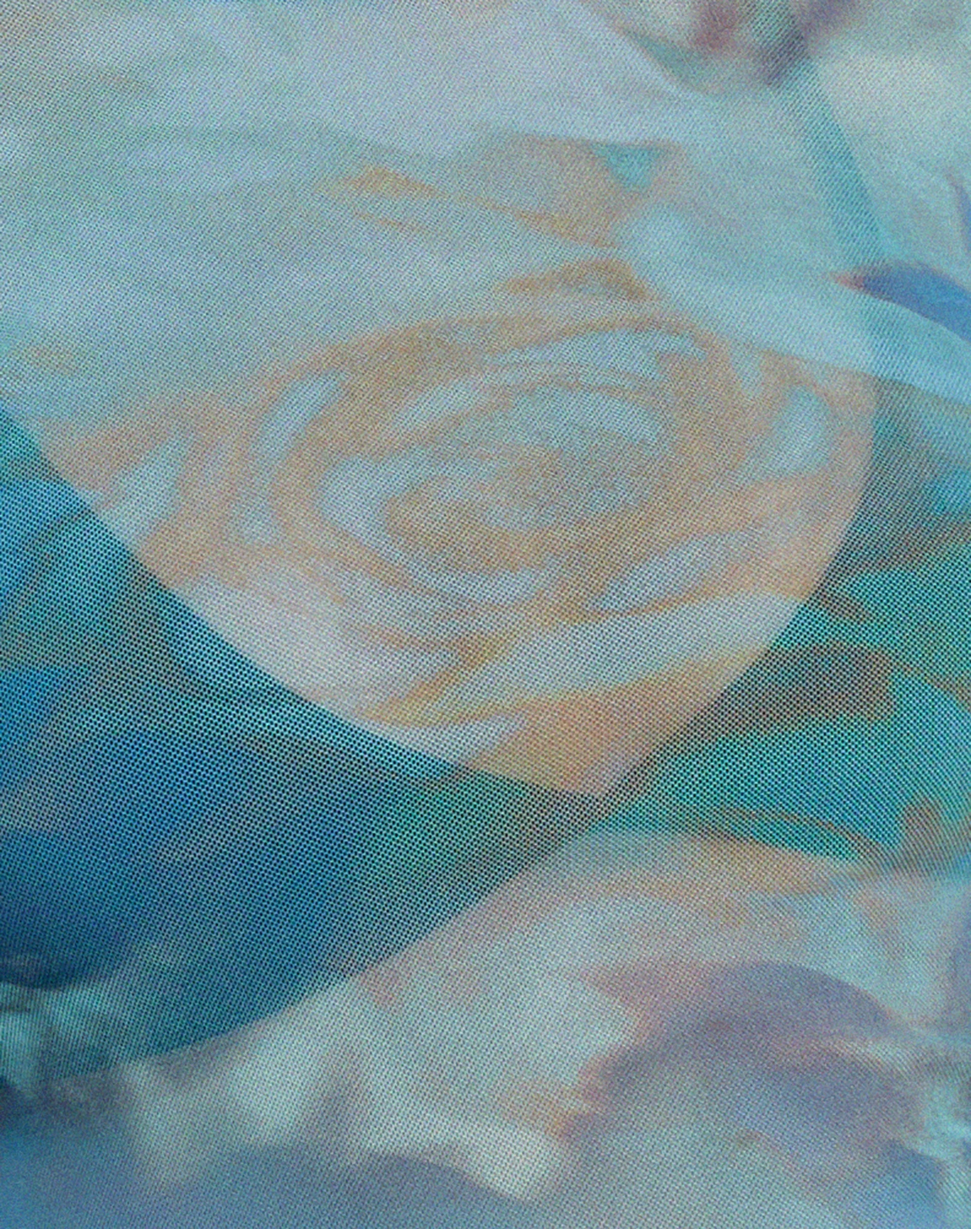 Elijah Crop Top in Digi Petal Blue - Image 6
