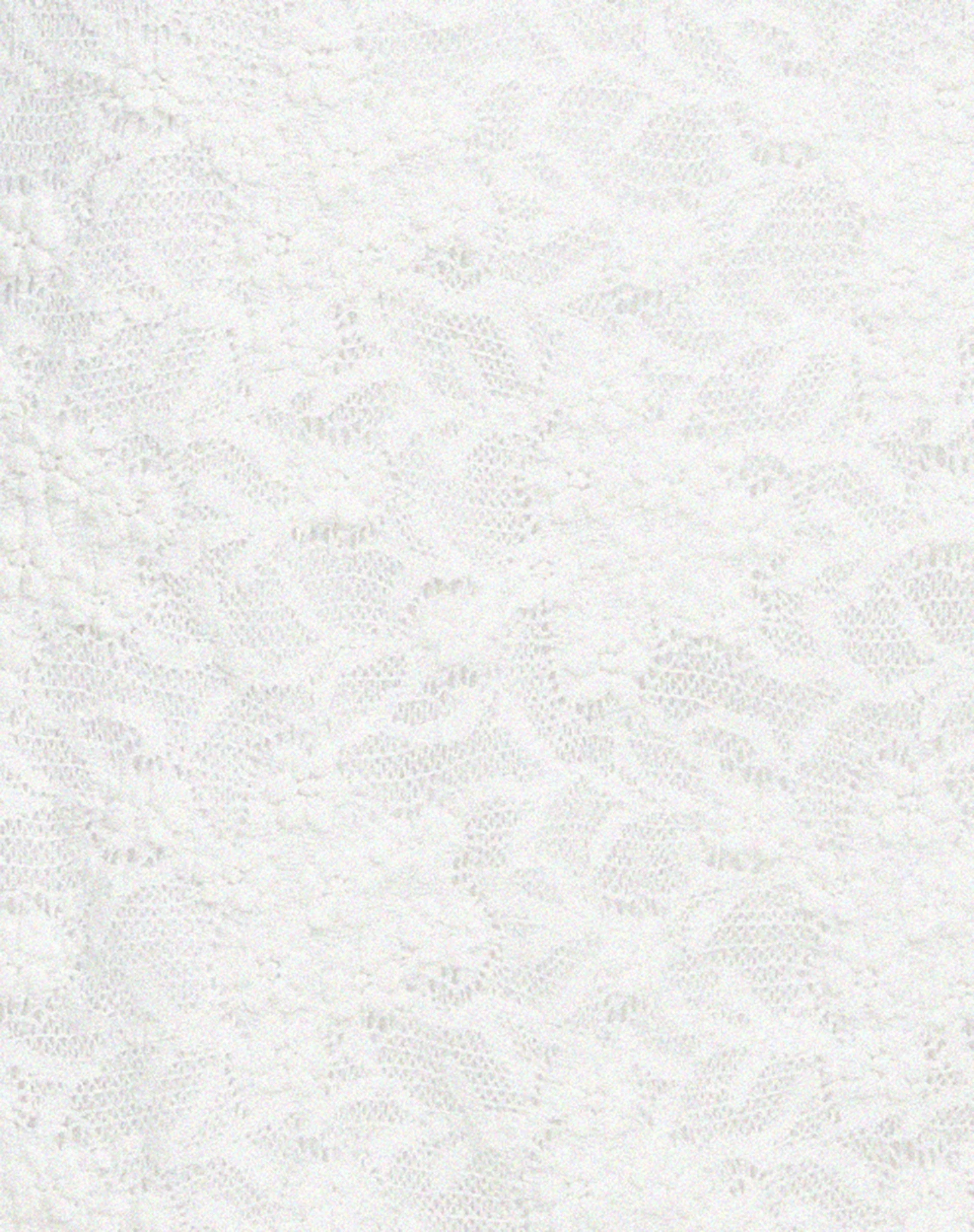 Eltami Mini Dress in Lace Ivory - Image 7