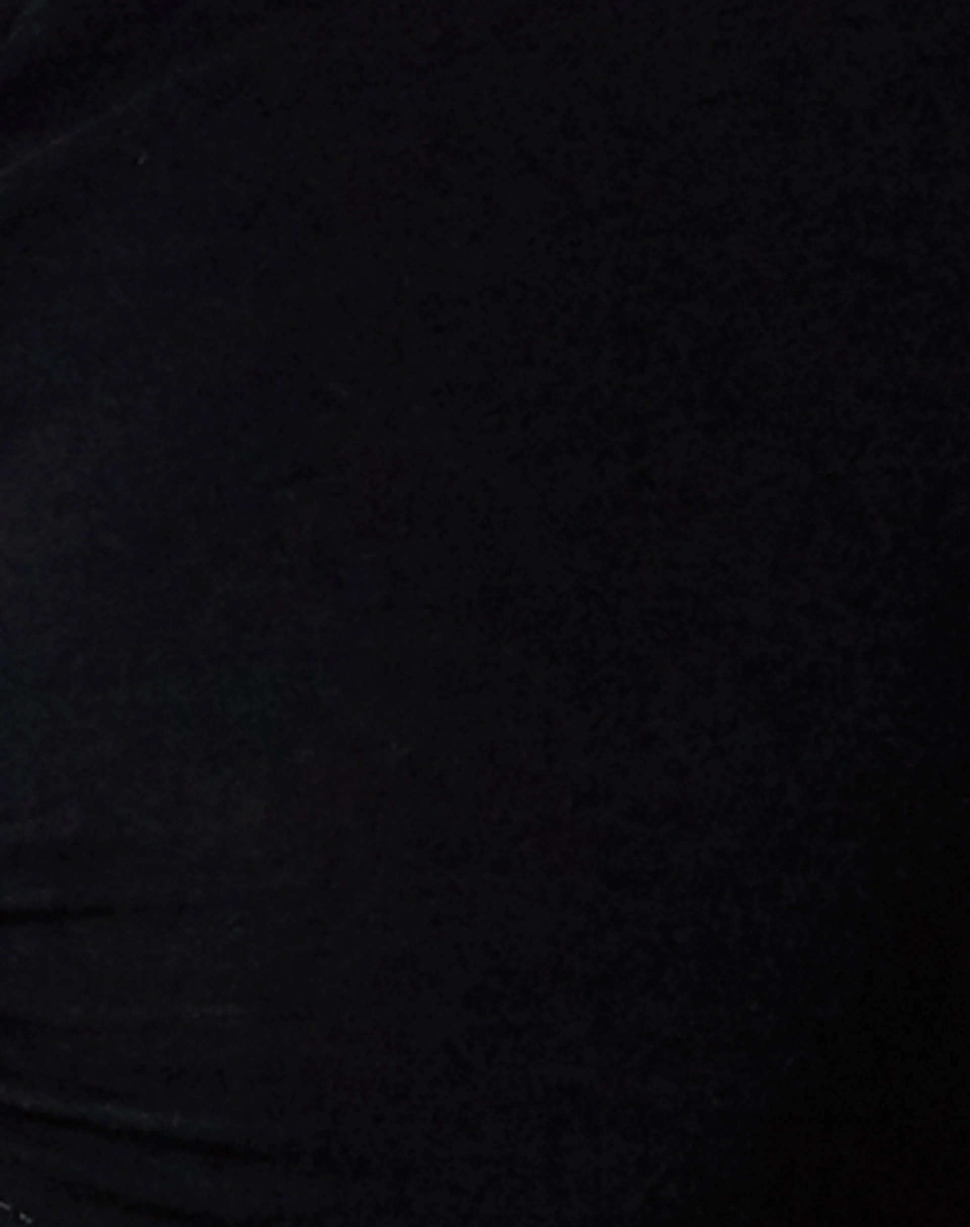 Gisy Crop Top in Lycra Black - Image 7