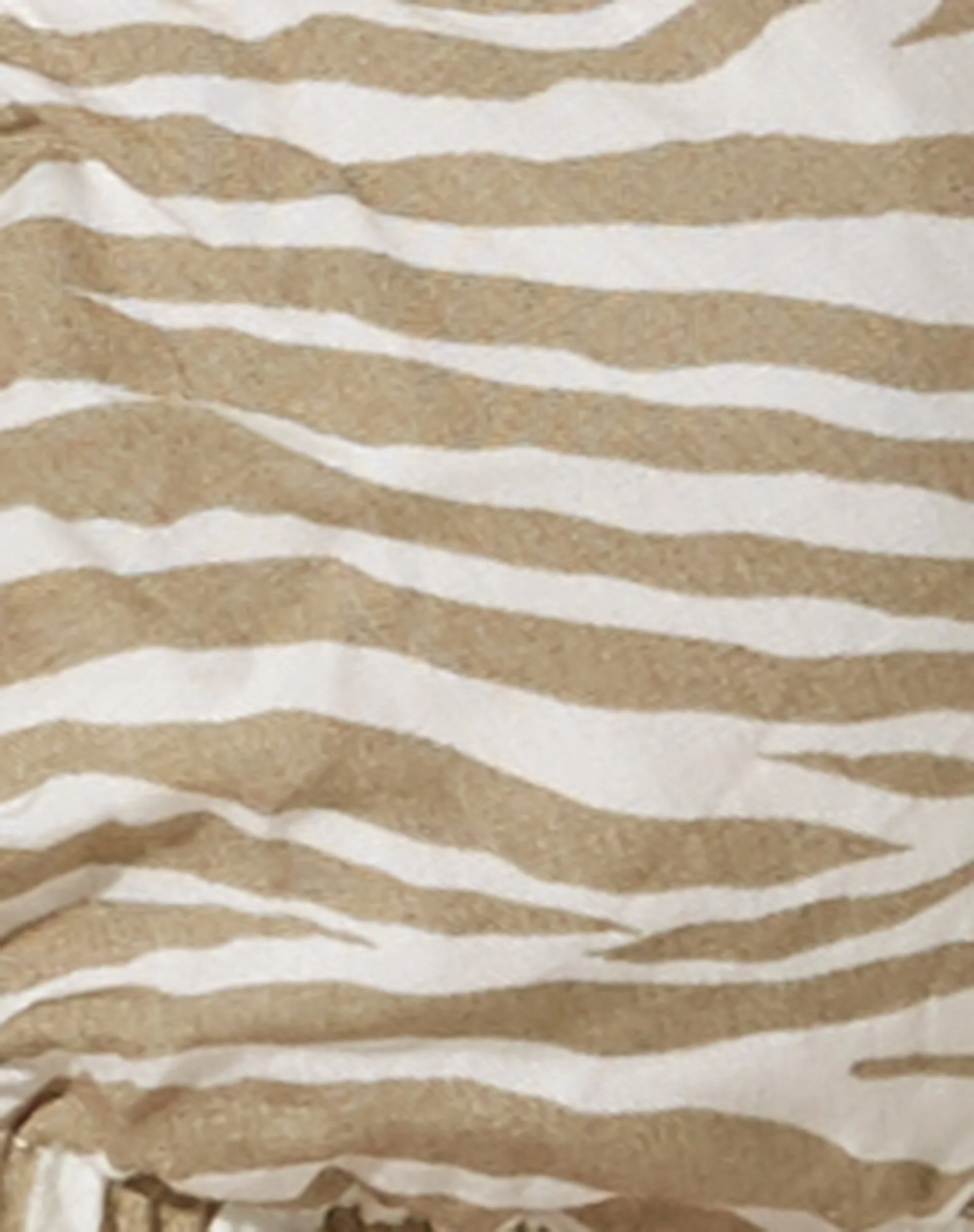 Jiena Crop Top in Tonal Zebra - Image 7