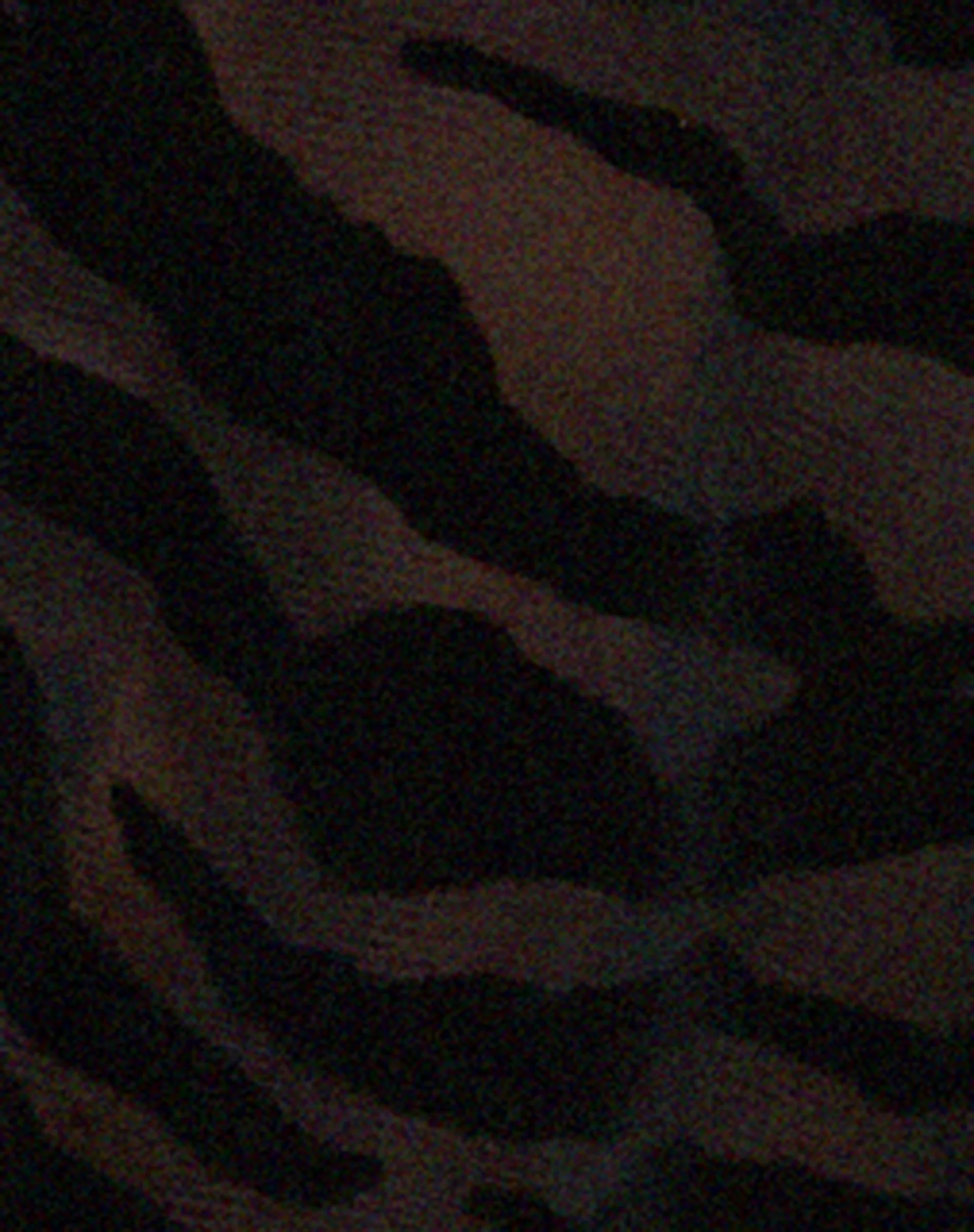 Leony Cardi in Zebra Flock Black - Image 8