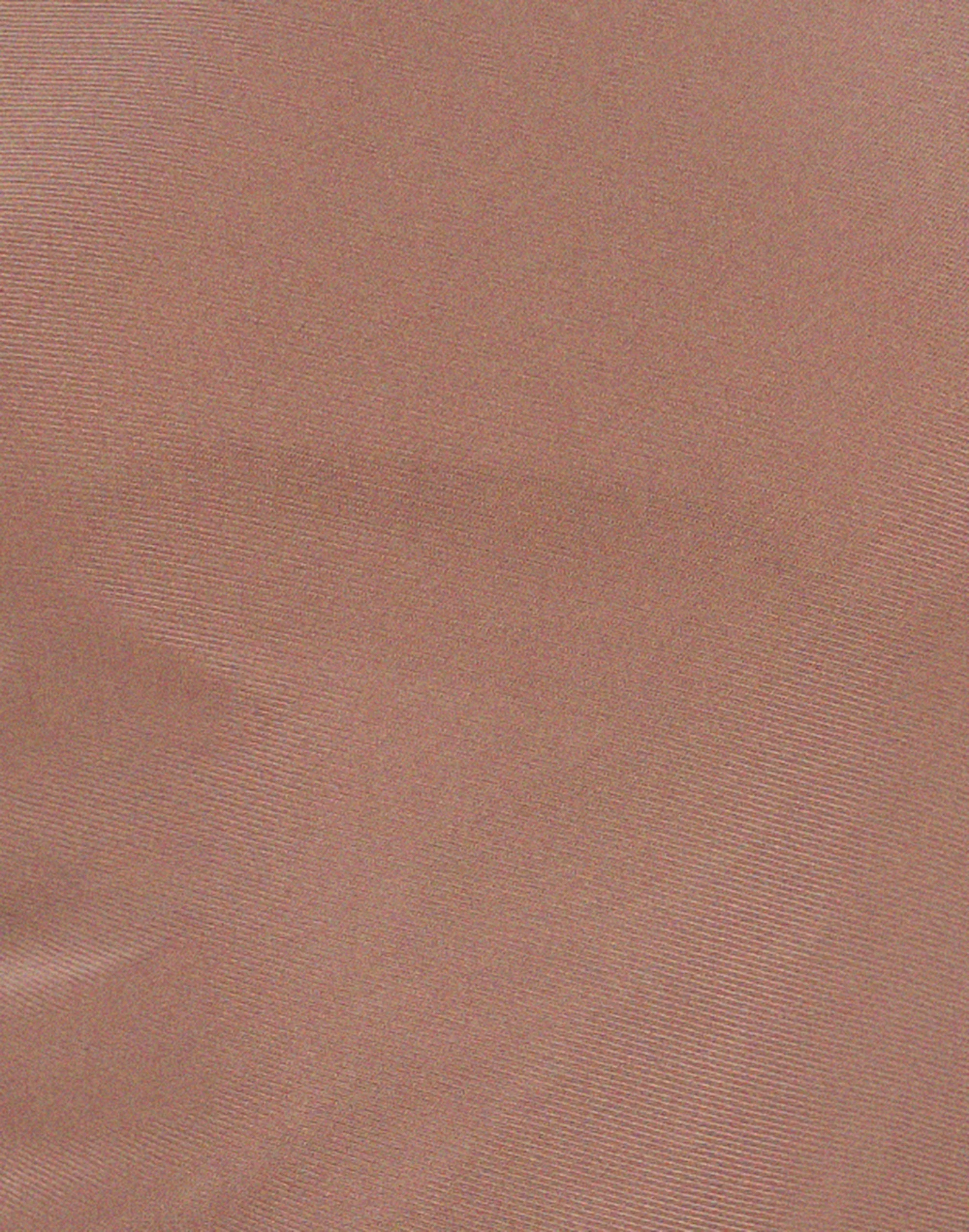 Mahira Long Sleeve Mesh Top in Light Brown - Image 5