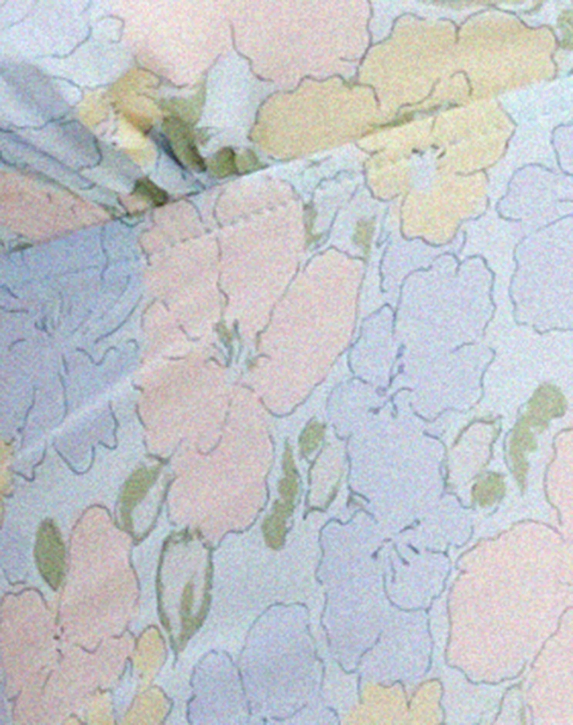 Nanda Crop Top in Washed Out Pastel Floral - Image 6