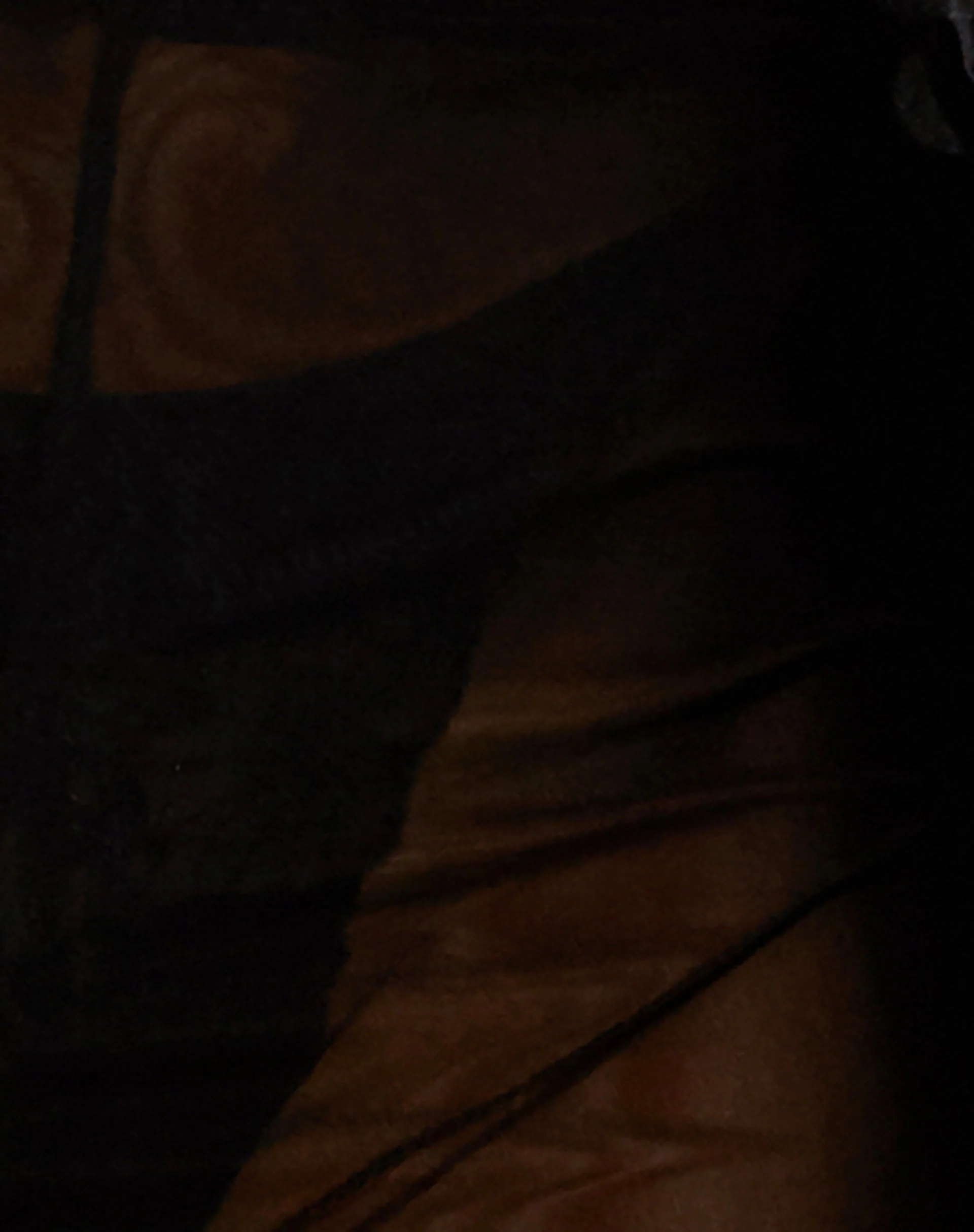 Noa Trouser in Mesh Black - Image 7