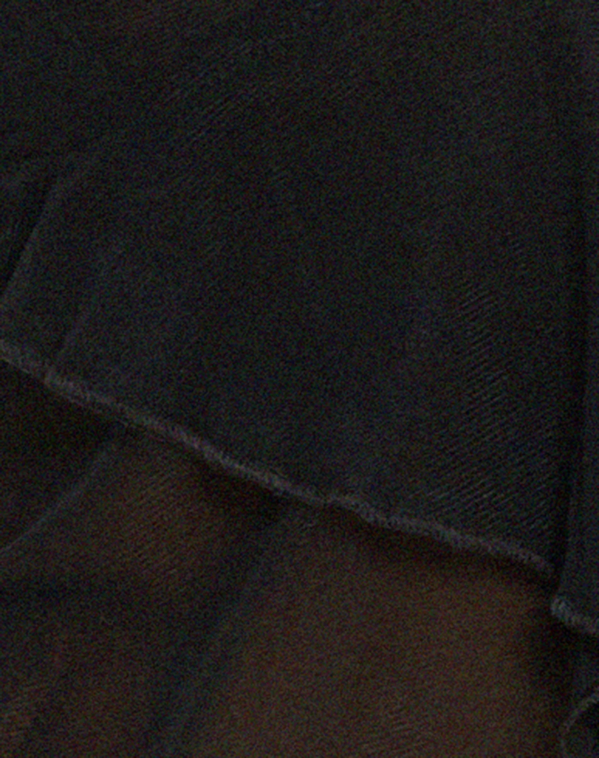 Olgira Mesh Halterneck Vest Top in Black - Image 6
