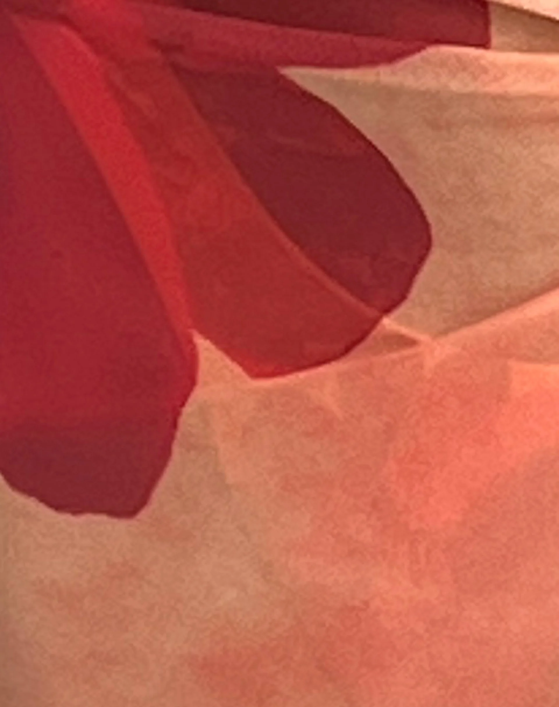 Pawon Mesh Sarong in Orange Flower - Image 6