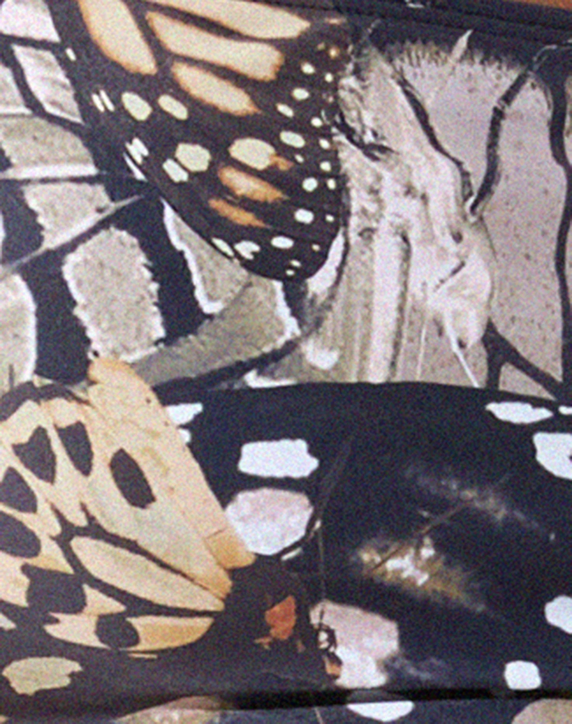 Reema Bikini Top in Abstract Butterfly Gold - Image 13