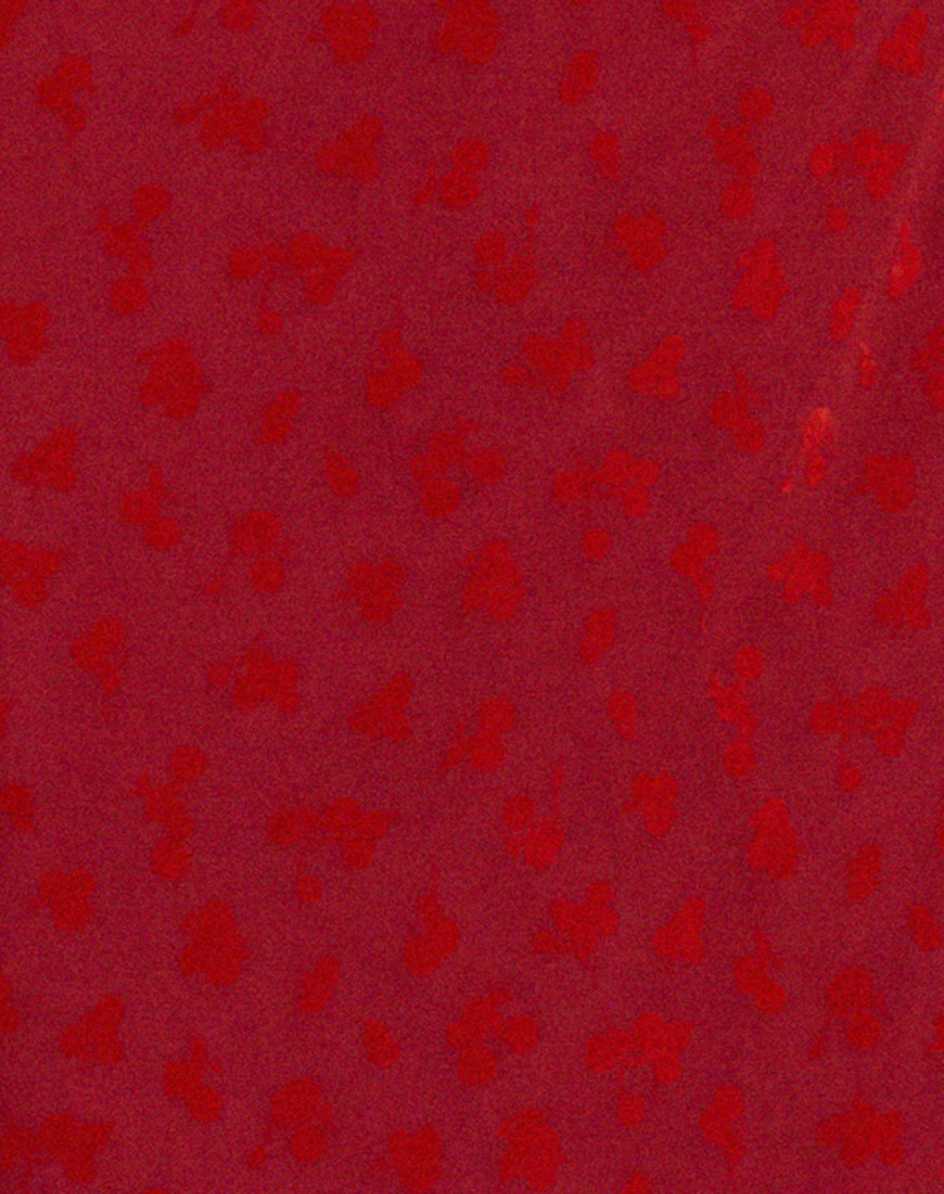Rujha Midi Skirt in Red Flock Mesh - Image 5