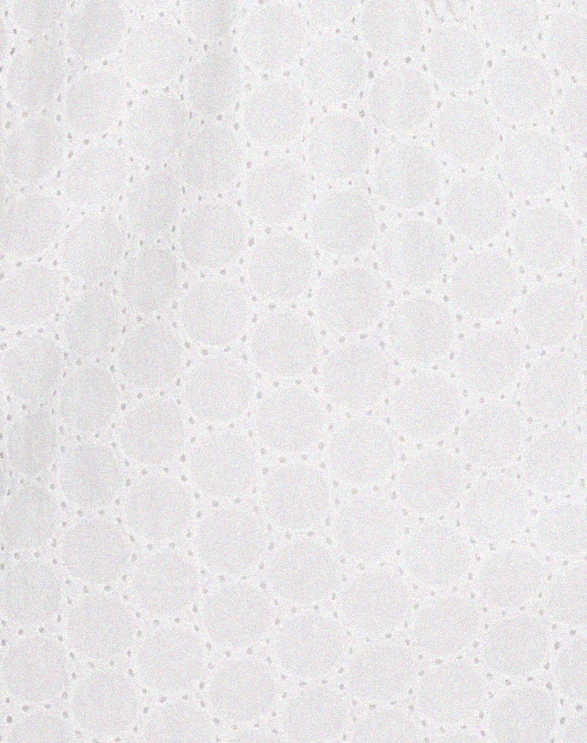Sandira Mini Dress in White - Image 7