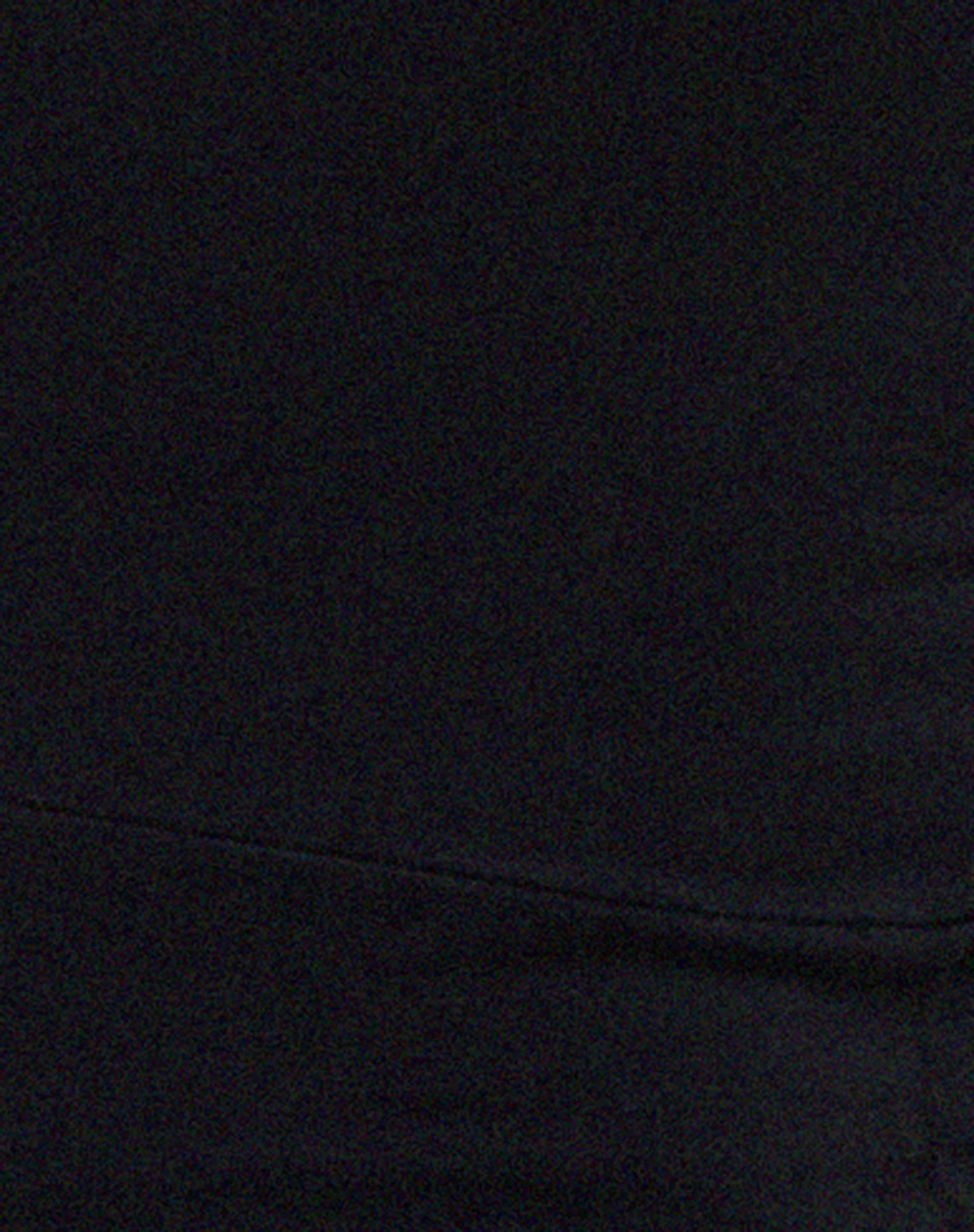 Sasma Jumpsuit in Lycra Black - Image 5
