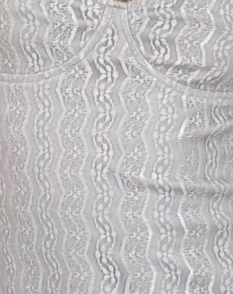 Shania Mini Dress in Silver Grey Lace Mesh - Image 6