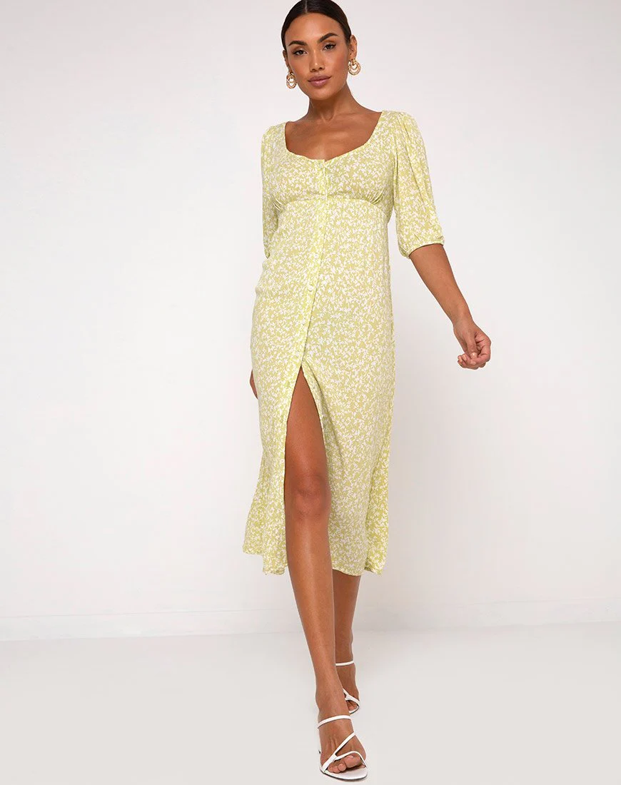 Sula Midi Dress in Crinkle Botanic Mint Foam