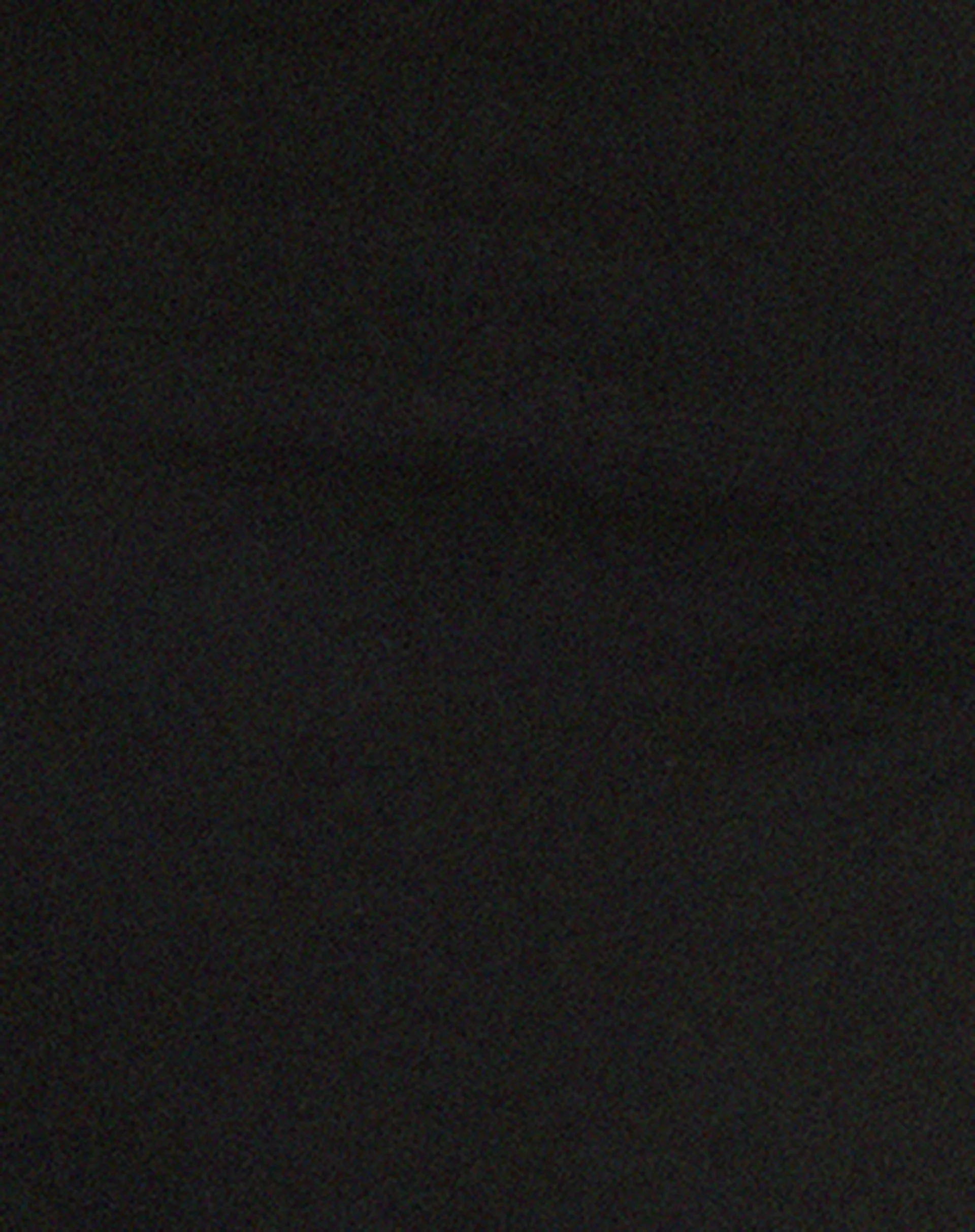 Surtie Crop Top in Lycra Black - Image 6