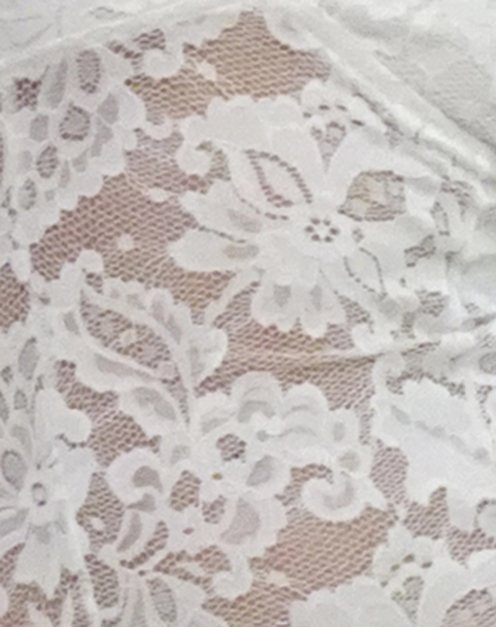 Taliva Lace Mini Dress in Off White - Image 8