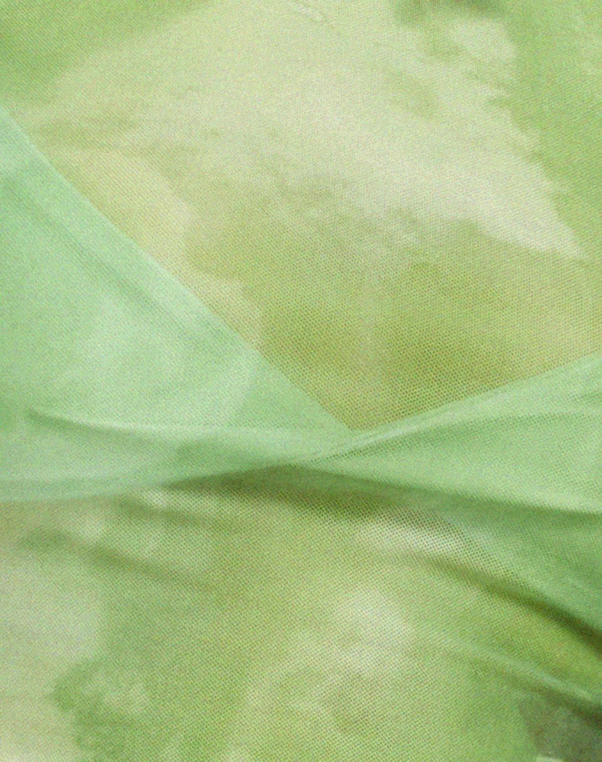Tiney Crop Top in Watercolour Green - Image 7
