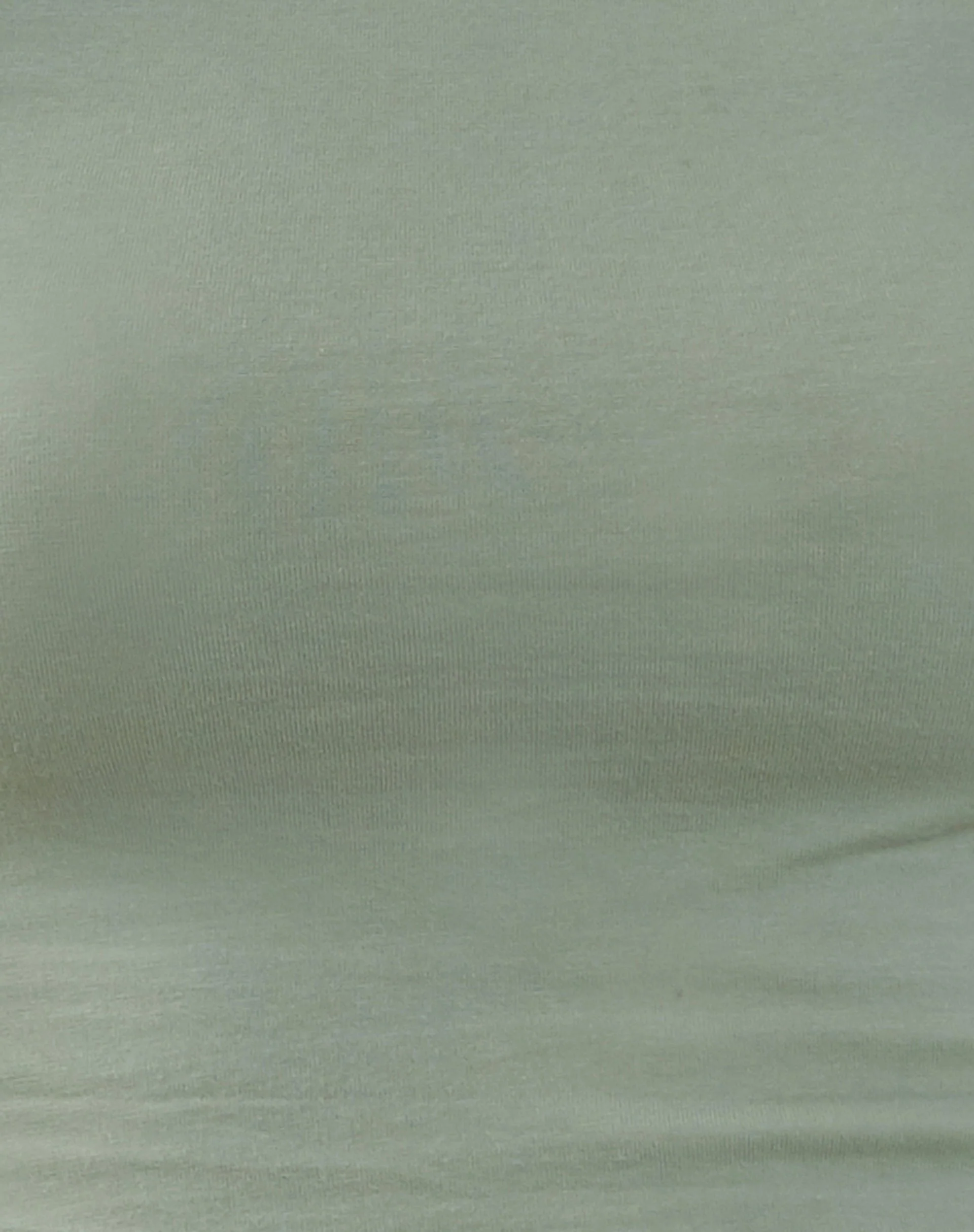 Xiwang Crop Top in Desert Sage - Image 7