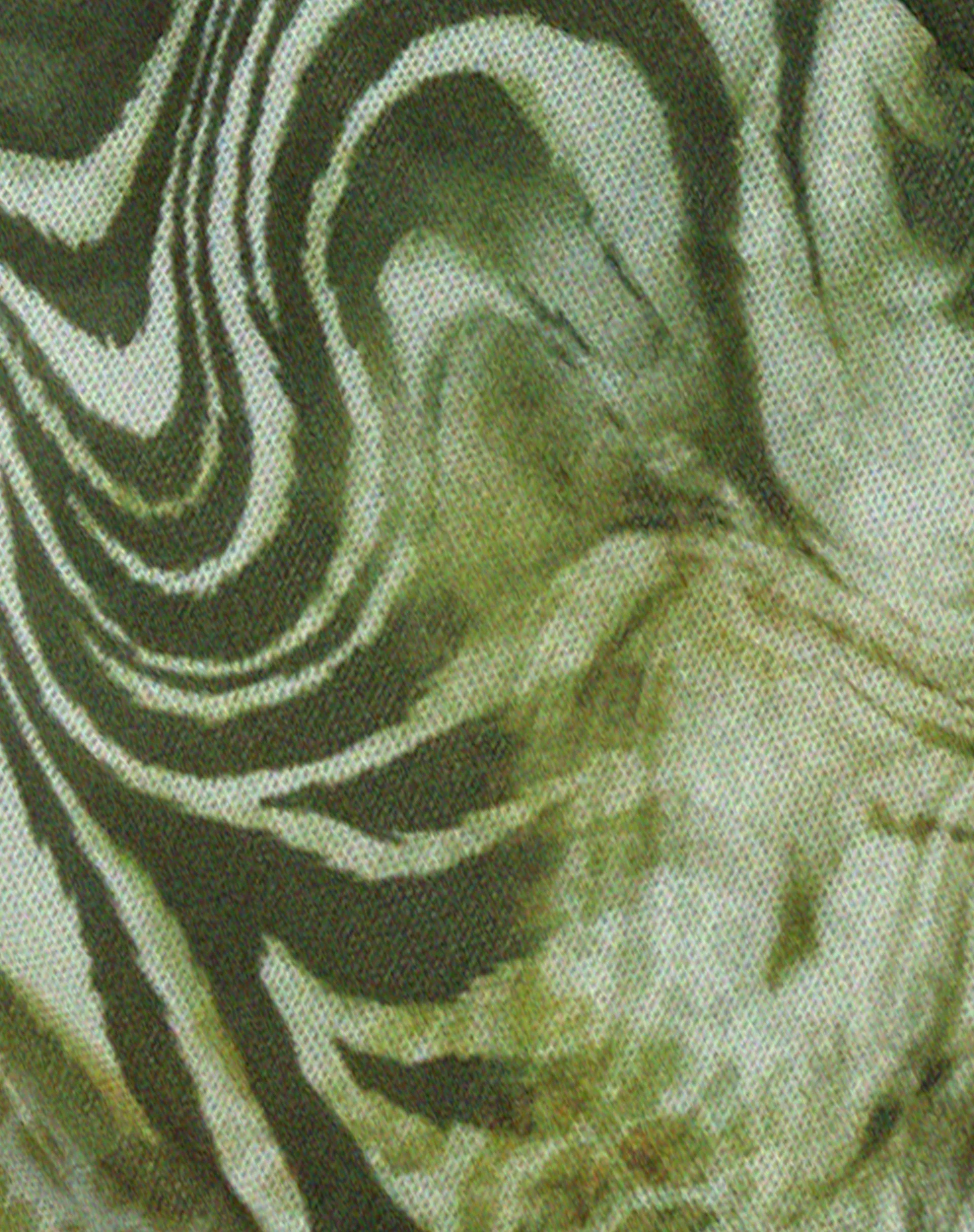 Yubila Mini Dress in Mesh Cheetah Green - Image 7